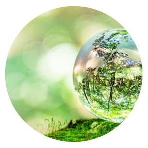 Sustainability by Pure Encapsulations - water drop with forest reflection